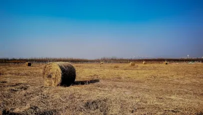 Kasino Lucky Pants Bingo Mobiilisovellus